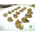 Sweet and Crispy Chinese Walnut kernels Light Quarters